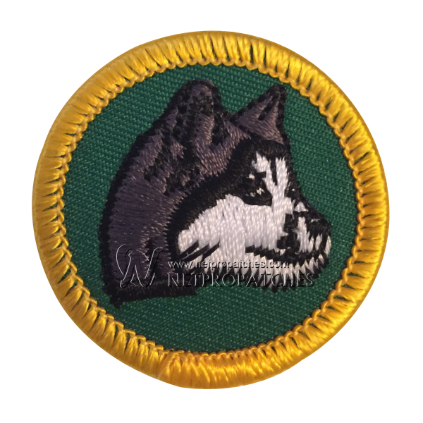 Boy&Girl Scouts Patches